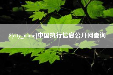 海口中国执行信息公开网查询
