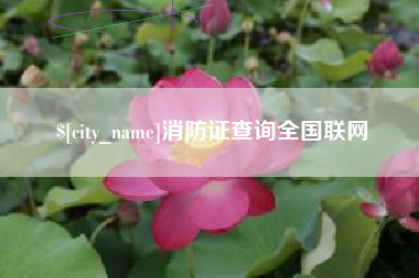 海口消防证查询全国联网