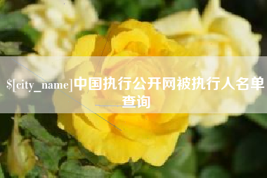 海口中国执行公开网被执行人名单查询