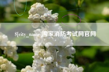 海口国家消防考试网官网