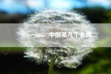 海口中国第九个金牌