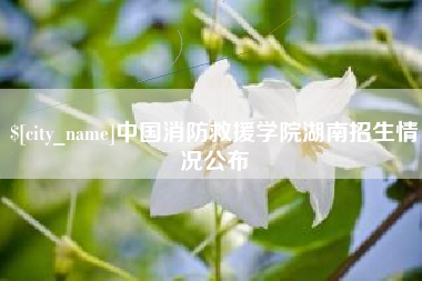 海口中国消防救援学院湖南招生情况公布