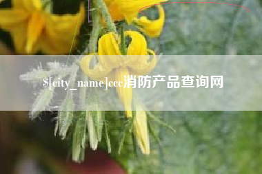 海口ccc消防产品查询网