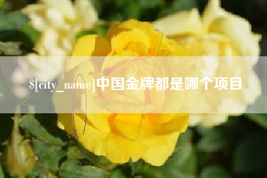 海口中国金牌都是哪个项目