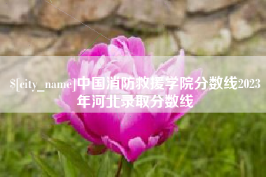 海口中国消防救援学院分数线2023年河北录取分数线