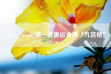 海口第一波奥运金牌“九宫格”