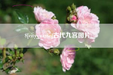 海口古代九宫图片