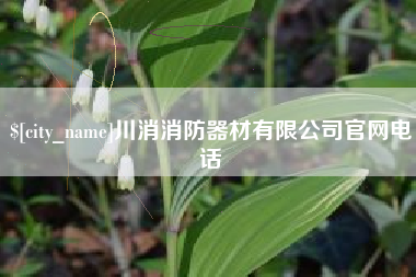 海口川消消防器材有限公司官网电话