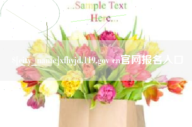 海口xfhyjd.119.gov cn官网报名入口