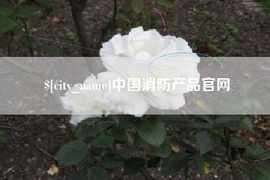 海口中国消防产品官网