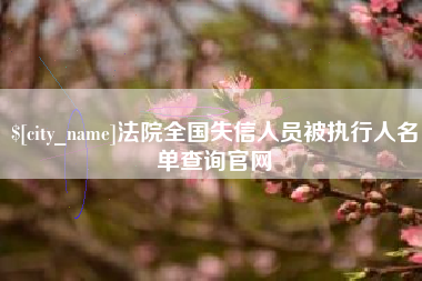 海口法院全国失信人员被执行人名单查询官网