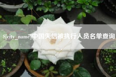 海口中国失信被执行人员名单查询