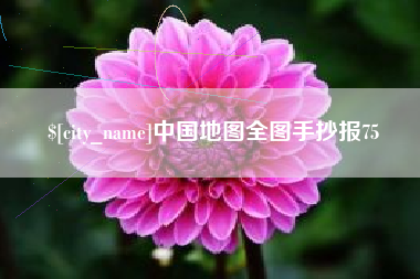 海口中国地图全图手抄报75