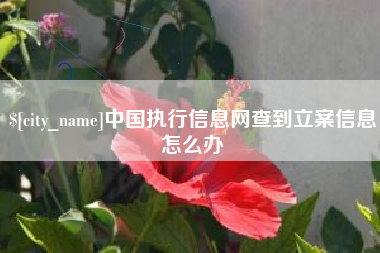 海口中国执行信息网查到立案信息怎么办