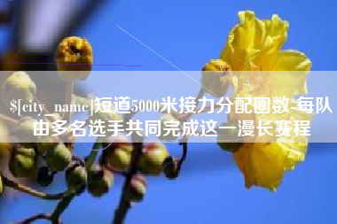海口短道5000米接力分配圈数-每队由多名选手共同完成这一漫长赛程