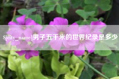 海口男子五千米的世界纪录是多少