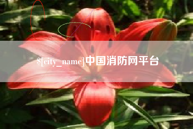 海口中国消防网平台