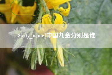 海口中国九金分别是谁