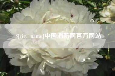 海口中国消防网官方网站