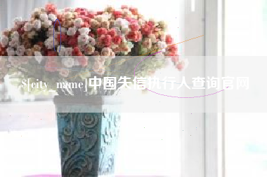 海口中国失信执行人查询官网