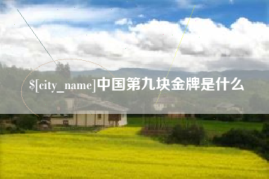 海口中国第九块金牌是什么