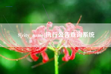 海口执行公告查询系统
