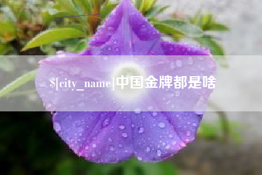 海口中国金牌都是啥