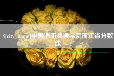 海口中国消防救援学院浙江省分数线