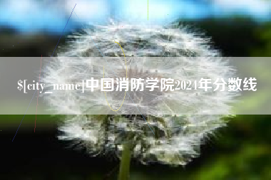 海口中国消防学院2024年分数线