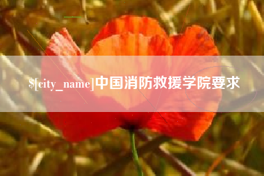 海口中国消防救援学院要求