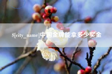 海口中国金牌能拿多少奖金