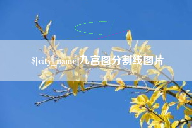海口九宫图分割线图片