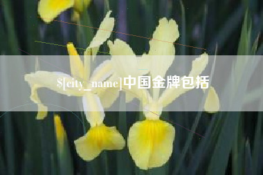 海口中国金牌包括
