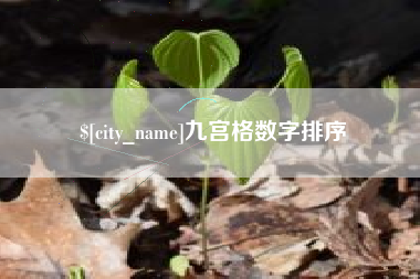 海口九宫格数字排序