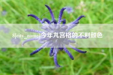海口今年九宫格的不利颜色