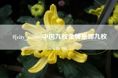 海口中国九枚金牌是哪九枚