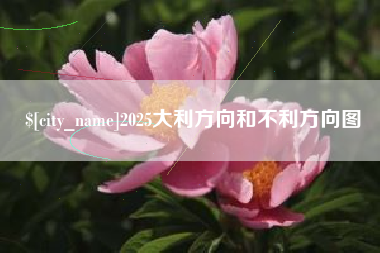 海口2025大利方向和不利方向图