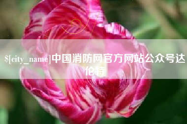 海口中国消防网官方网站公众号达伦特