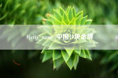 海口中国19块金牌