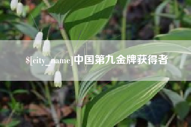 海口中国第九金牌获得者