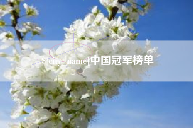 海口中国冠军榜单
