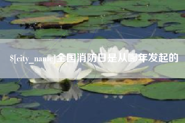 海口全国消防日是从哪年发起的