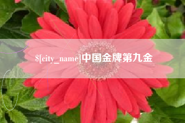 海口中国金牌第九金