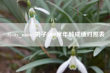 海口男子5000米年龄成绩对照表