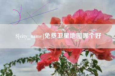海口免费卫星地图哪个好