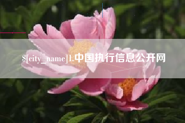 海口1.中国执行信息公开网