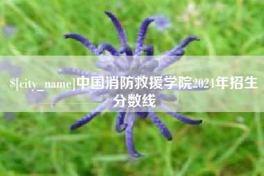 海口中国消防救援学院2024年招生分数线