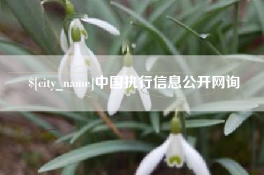 海口中国执行信息公开网询