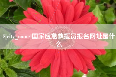 海口国家应急救援员报名网址是什么
