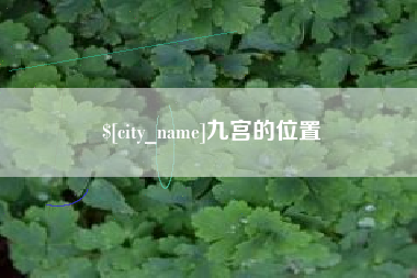 海口九宫的位置